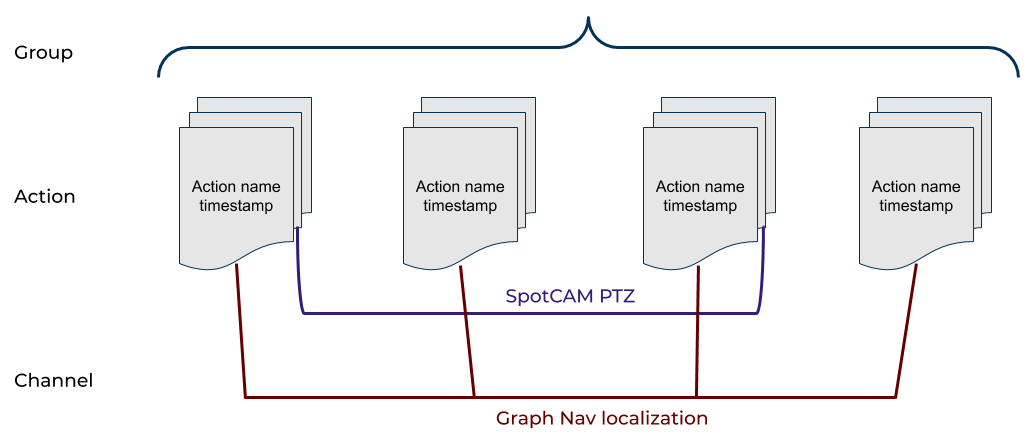 Data Organization