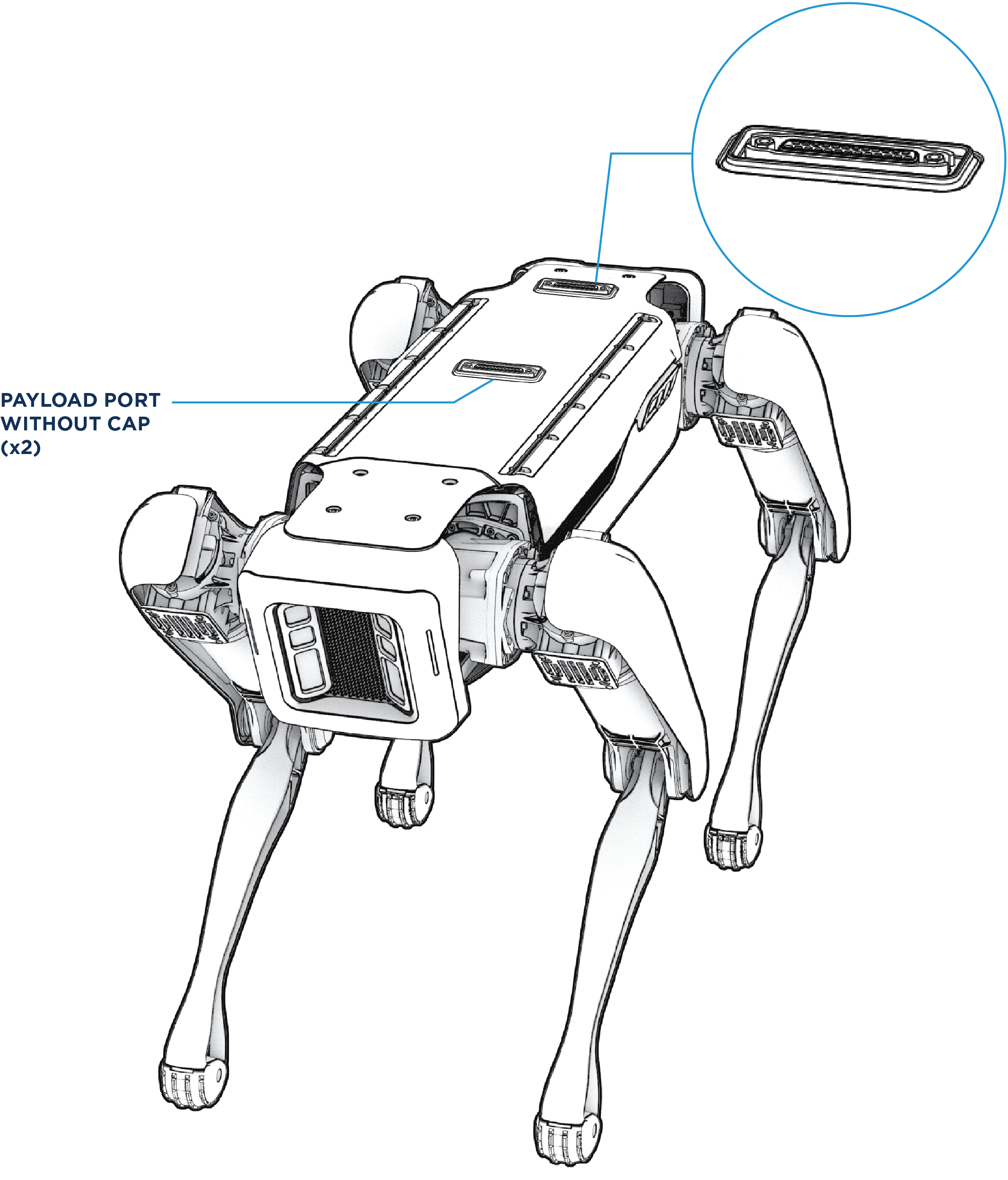 robot ports