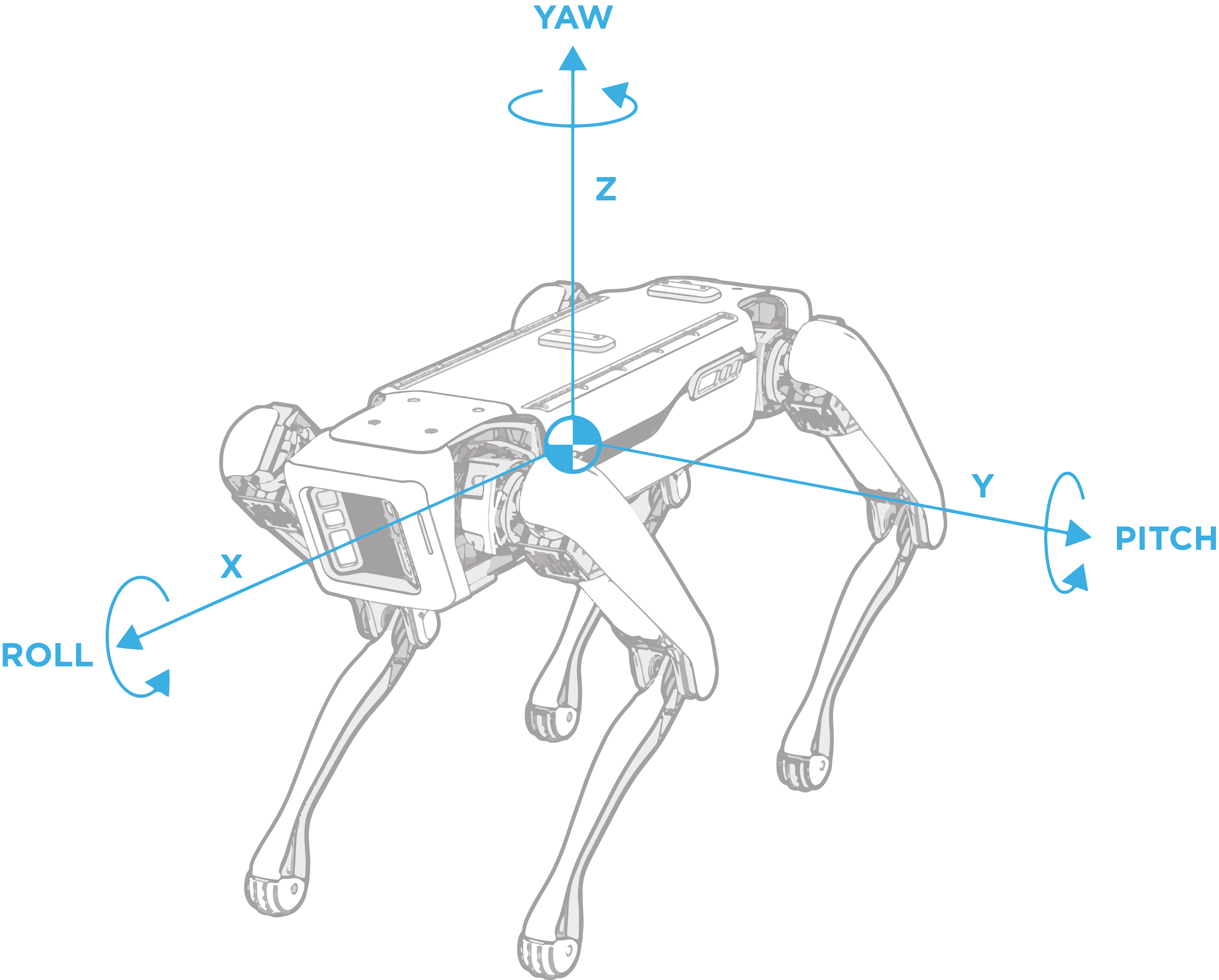 Spot frames